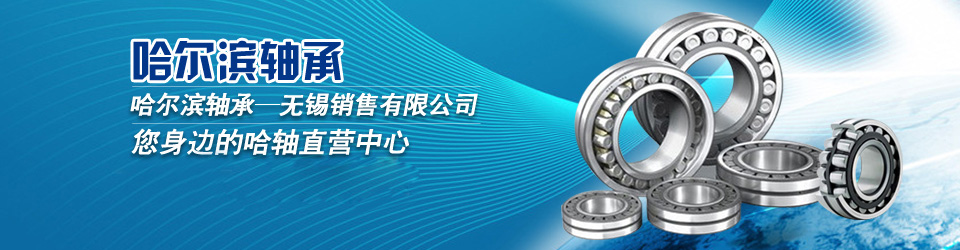 哈爾濱軸承，值得信賴！